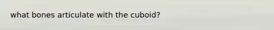 what bones articulate with the cuboid?