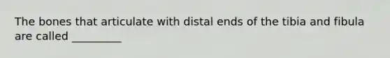 The bones that articulate with distal ends of the tibia and fibula are called _________