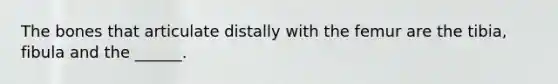 The bones that articulate distally with the femur are the tibia, fibula and the ______.