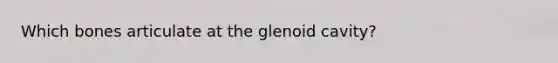 Which bones articulate at the glenoid cavity?