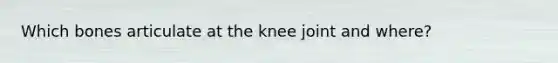 Which bones articulate at the knee joint and where?