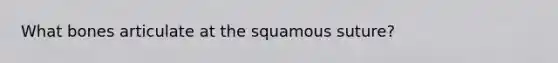 What bones articulate at the squamous suture?