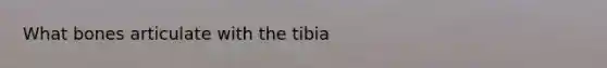 What bones articulate with the tibia