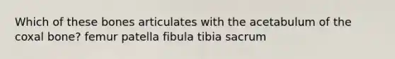 Which of these bones articulates with the acetabulum of the coxal bone? femur patella fibula tibia sacrum