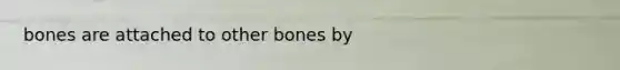 bones are attached to other bones by