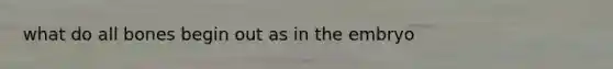 what do all bones begin out as in the embryo
