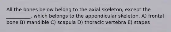 All the bones below belong to the axial skeleton, except the __________, which belongs to the appendicular skeleton. A) frontal bone B) mandible C) scapula D) thoracic vertebra E) stapes