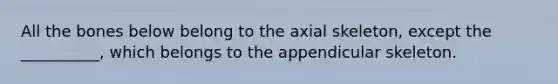 All the bones below belong to the axial skeleton, except the __________, which belongs to the appendicular skeleton.