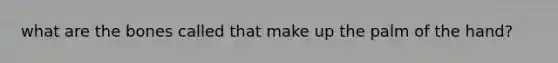 what are the bones called that make up the palm of the hand?