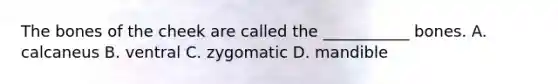 The bones of the cheek are called the ___________ bones. A. calcaneus B. ventral C. zygomatic D. mandible
