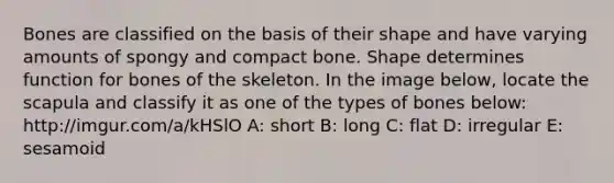 Bones are classified on the basis of their shape and have varying amounts of spongy and compact bone. Shape determines function for bones of the skeleton. In the image below, locate the scapula and classify it as one of the types of bones below: http://imgur.com/a/kHSlO A: short B: long C: flat D: irregular E: sesamoid