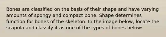 Bones are classified on the basis of their shape and have varying amounts of spongy and compact bone. Shape determines function for bones of the skeleton. In the image below, locate the scapula and classify it as one of the types of bones below: