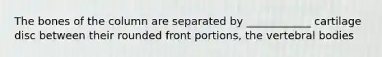 The bones of the column are separated by ____________ cartilage disc between their rounded front portions, the vertebral bodies