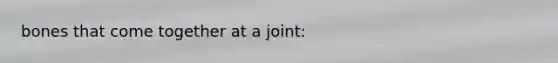 bones that come together at a joint: