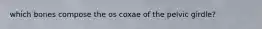 which bones compose the os coxae of the pelvic girdle?