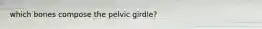 which bones compose the pelvic girdle?