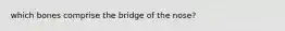 which bones comprise the bridge of the nose?