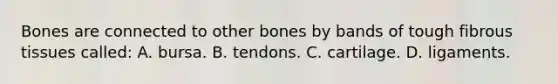 Bones are connected to other bones by bands of tough fibrous tissues called: A. bursa. B. tendons. C. cartilage. D. ligaments.