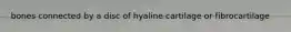 bones connected by a disc of hyaline cartilage or fibrocartilage