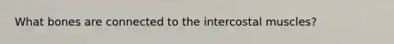 What bones are connected to the intercostal muscles?