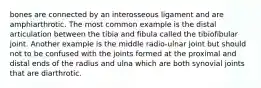 bones are connected by an interosseous ligament and are amphiarthrotic. The most common example is the distal articulation between the tibia and fibula called the tibiofibular joint. Another example is the middle radio-ulnar joint but should not to be confused with the joints formed at the proximal and distal ends of the radius and ulna which are both synovial joints that are diarthrotic.