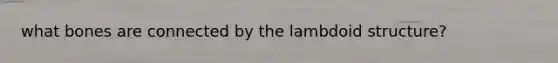 what bones are connected by the lambdoid structure?