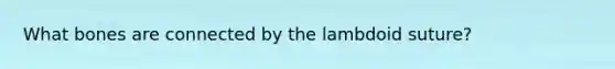 What bones are connected by the lambdoid suture?