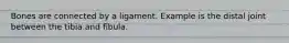 Bones are connected by a ligament. Example is the distal joint between the tibia and fibula.