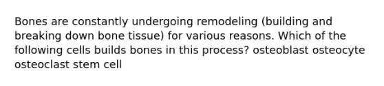 Bones are constantly undergoing remodeling (building and breaking down bone tissue) for various reasons. Which of the following cells builds bones in this process? osteoblast osteocyte osteoclast stem cell