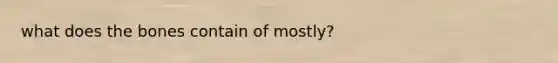 what does the bones contain of mostly?