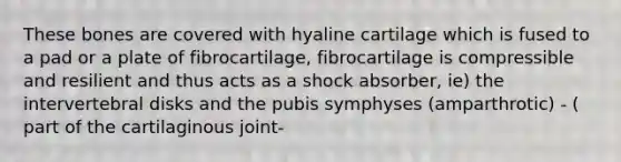 These bones are covered with hyaline cartilage which is fused to a pad or a plate of fibrocartilage, fibrocartilage is compressible and resilient and thus acts as a shock absorber, ie) the intervertebral disks and the pubis symphyses (amparthrotic) - ( part of the cartilaginous joint-