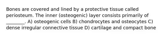 Bones are covered and lined by a protective tissue called periosteum. The inner (osteogenic) layer consists primarily of ________. A) osteogenic cells B) chondrocytes and osteocytes C) dense irregular connective tissue D) cartilage and compact bone