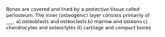 Bones are covered and lined by a protective tissue called periosteum. The inner (osteogenic) layer consists primarily of ___. a) osteoblasts and osteoclasts b) marrow and osteons c) chondrocytes and osteoclytes d) cartilage and compact bones