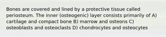 Bones are covered and lined by a protective tissue called periosteum. The inner (osteogenic) layer consists primarily of A) cartilage and compact bone B) marrow and osteons C) osteoblasts and osteoclasts D) chondrocytes and osteocytes