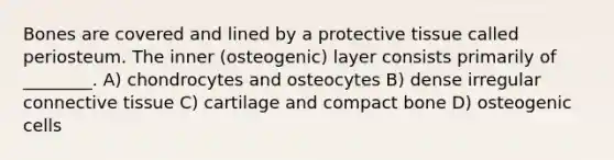 Bones are covered and lined by a protective tissue called periosteum. The inner (osteogenic) layer consists primarily of ________. A) chondrocytes and osteocytes B) dense irregular connective tissue C) cartilage and compact bone D) osteogenic cells