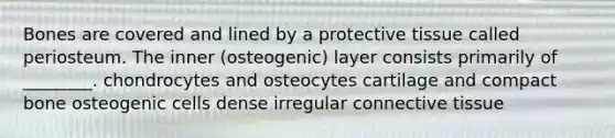 Bones are covered and lined by a protective tissue called periosteum. The inner (osteogenic) layer consists primarily of ________. chondrocytes and osteocytes cartilage and compact bone osteogenic cells dense irregular connective tissue