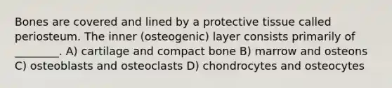 Bones are covered and lined by a protective tissue called periosteum. The inner (osteogenic) layer consists primarily of ________. A) cartilage and compact bone B) marrow and osteons C) osteoblasts and osteoclasts D) chondrocytes and osteocytes