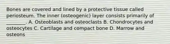 Bones are covered and lined by a protective tissue called periosteum. The inner (osteogenic) layer consists primarily of ________. A. Osteoblasts and osteoclasts B. Chondrocytes and osteocytes C. Cartilage and compact bone D. Marrow and osteons