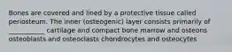 Bones are covered and lined by a protective tissue called periosteum. The inner (osteogenic) layer consists primarily of ___________ cartilage and compact bone marrow and osteons osteoblasts and osteoclasts chondrocytes and osteocytes