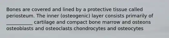 Bones are covered and lined by a protective tissue called periosteum. The inner (osteogenic) layer consists primarily of ___________ cartilage and compact bone marrow and osteons osteoblasts and osteoclasts chondrocytes and osteocytes