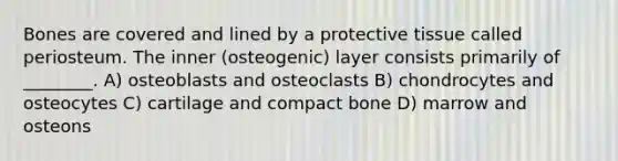 Bones are covered and lined by a protective tissue called periosteum. The inner (osteogenic) layer consists primarily of ________. A) osteoblasts and osteoclasts B) chondrocytes and osteocytes C) cartilage and compact bone D) marrow and osteons