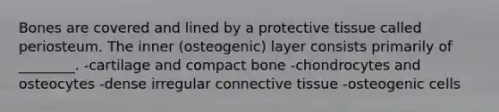 Bones are covered and lined by a protective tissue called periosteum. The inner (osteogenic) layer consists primarily of ________. -cartilage and compact bone -chondrocytes and osteocytes -dense irregular connective tissue -osteogenic cells