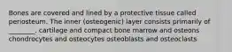 Bones are covered and lined by a protective tissue called periosteum. The inner (osteogenic) layer consists primarily of ________. cartilage and compact bone marrow and osteons chondrocytes and osteocytes osteoblasts and osteoclasts