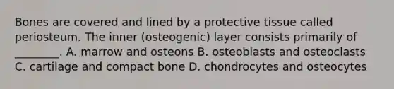 Bones are covered and lined by a protective tissue called periosteum. The inner (osteogenic) layer consists primarily of ________. A. marrow and osteons B. osteoblasts and osteoclasts C. cartilage and compact bone D. chondrocytes and osteocytes