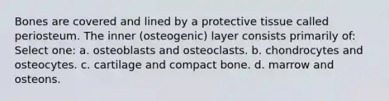 Bones are covered and lined by a protective tissue called periosteum. The inner (osteogenic) layer consists primarily of: Select one: a. osteoblasts and osteoclasts. b. chondrocytes and osteocytes. c. cartilage and compact bone. d. marrow and osteons.