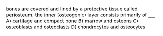 bones are covered and lined by a protective tissue called periosteum. the inner (osteogenic) layer consists primarily of ___ A) cartilage and compact bone B) marrow and osteons C) osteoblasts and osteoclasts D) chondrocytes and osteocytes