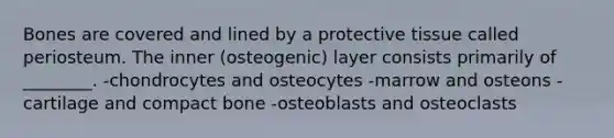 Bones are covered and lined by a protective tissue called periosteum. The inner (osteogenic) layer consists primarily of ________. -chondrocytes and osteocytes -marrow and osteons -cartilage and compact bone -osteoblasts and osteoclasts