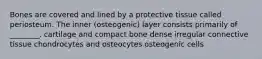 Bones are covered and lined by a protective tissue called periosteum. The inner (osteogenic) layer consists primarily of ________. cartilage and compact bone dense irregular connective tissue chondrocytes and osteocytes osteogenic cells