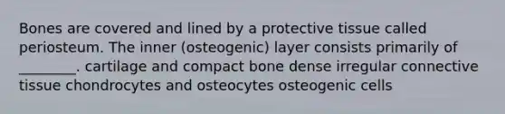 Bones are covered and lined by a protective tissue called periosteum. The inner (osteogenic) layer consists primarily of ________. cartilage and compact bone dense irregular connective tissue chondrocytes and osteocytes osteogenic cells