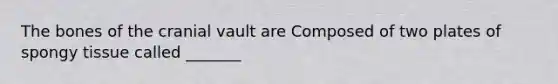 The bones of the cranial vault are Composed of two plates of spongy tissue called _______